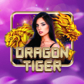 Dragon Tiger on Queen PH APK